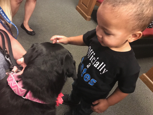 Child and therapy dog